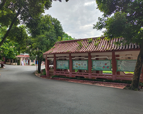 基地环境